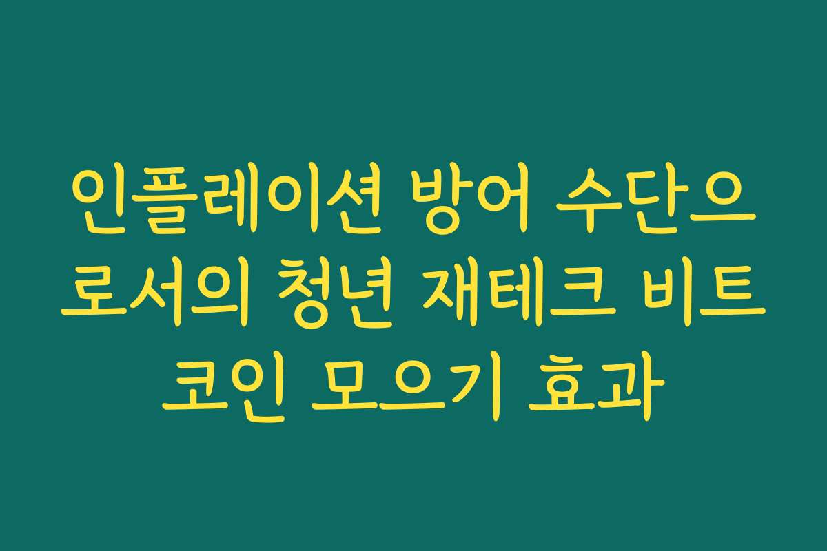 인플레이션 방어 수단으로서의 청년 재테크 비트코인 모으기 효과