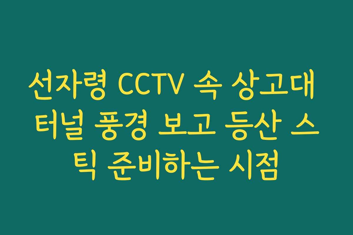 선자령 CCTV 속 상고대 터널 풍경 보고 등산 스틱 준비하는 시점