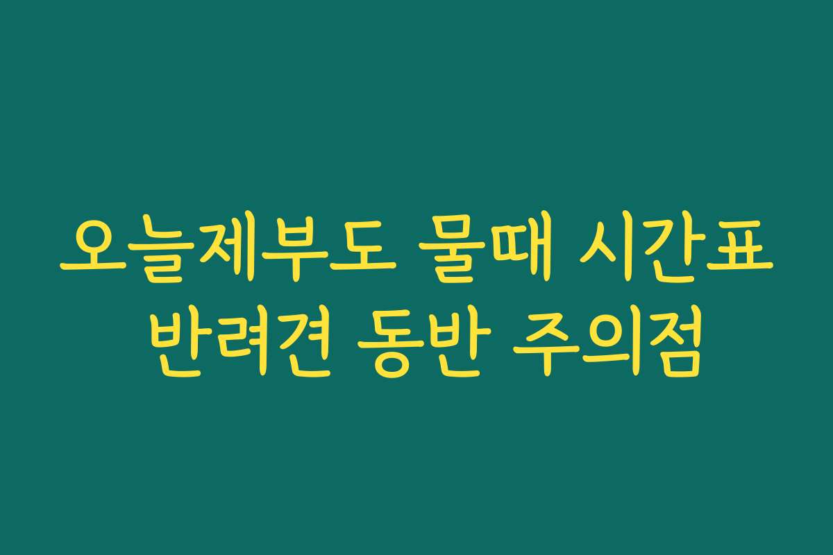 오늘제부도 물때 시간표 반려견 동반 주의점