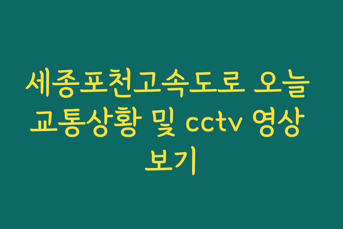 세종포천고속도로 오늘 교통상황 및 cctv 영상 보기