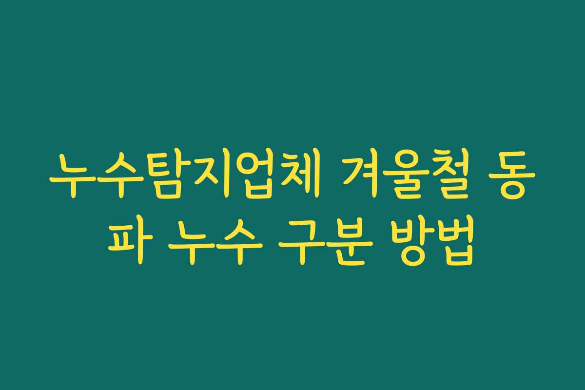 누수탐지업체 겨울철 동파 누수 구분 방법