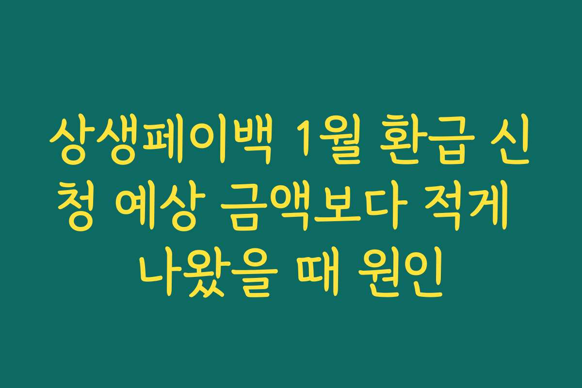 상생페이백 1월 환급 신청 예상 금액보다 적게 나왔을 때 원인