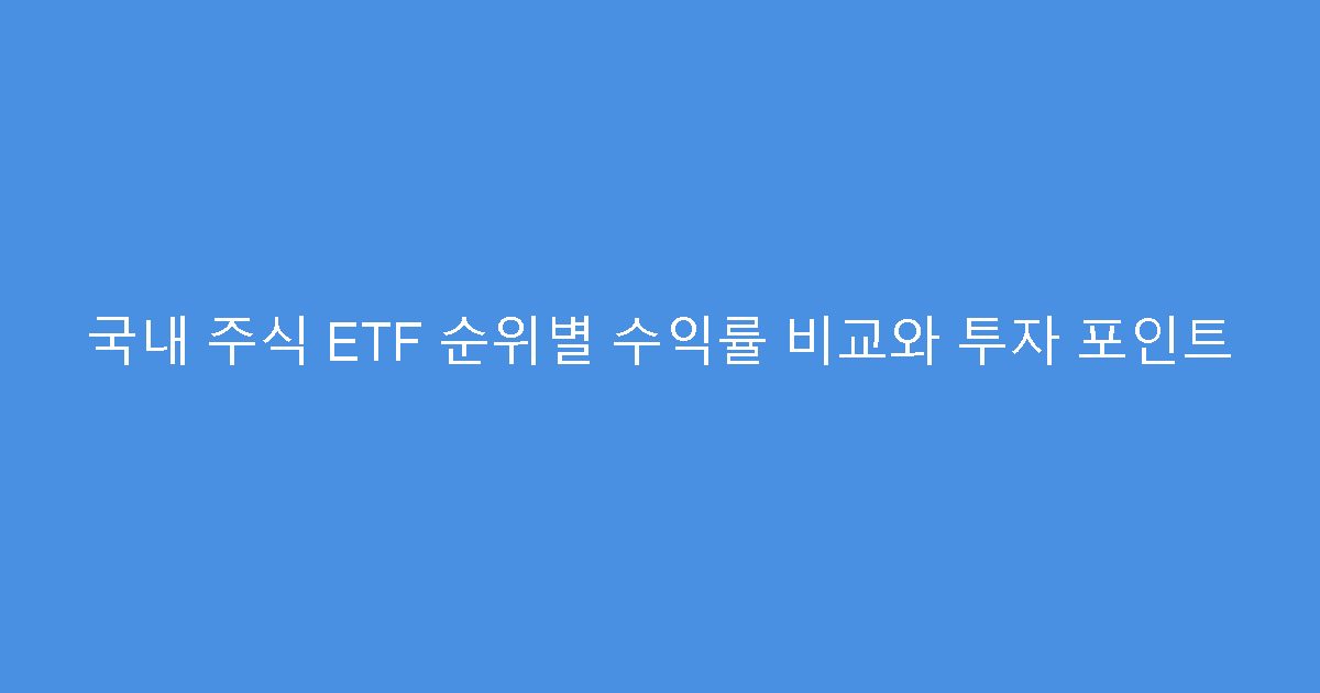 국내 주식 ETF 순위별 수익률 비교와 투자 포인트