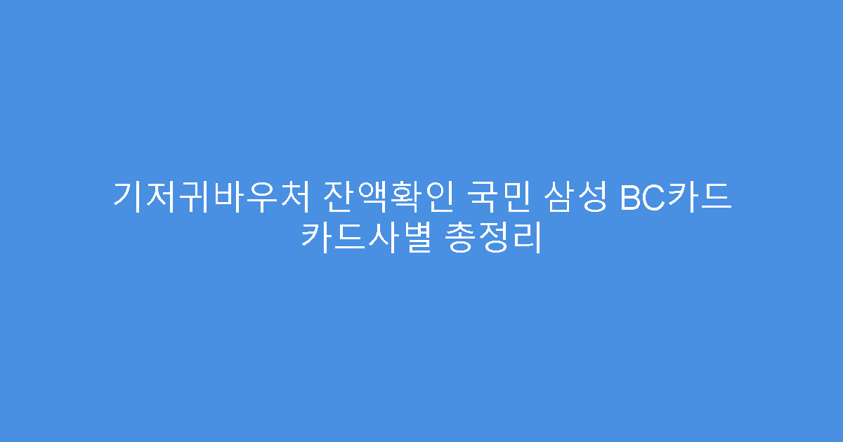 기저귀바우처 잔액확인 국민 삼성 BC카드 카드사별 총정리