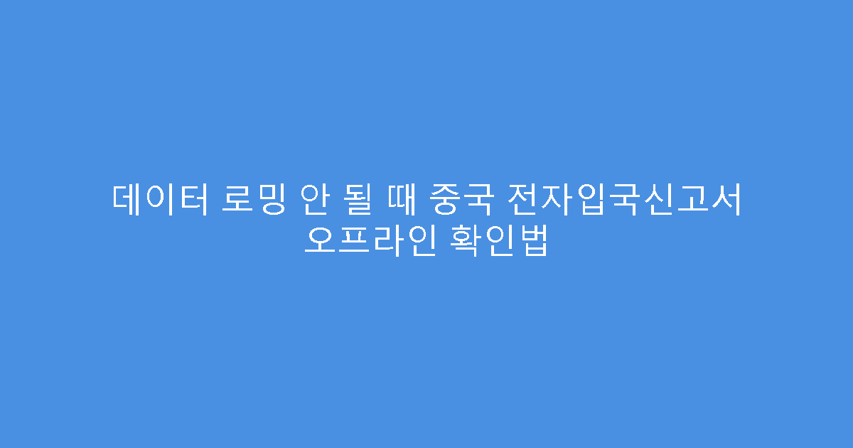 데이터 로밍 안 될 때 중국 전자입국신고서 오프라인 확인법