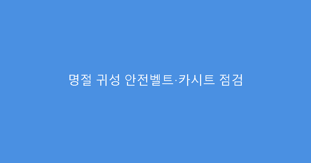명절 귀성 안전벨트·카시트 점검