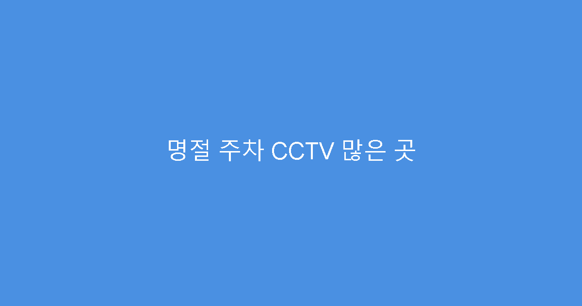 명절 주차 CCTV 많은 곳
