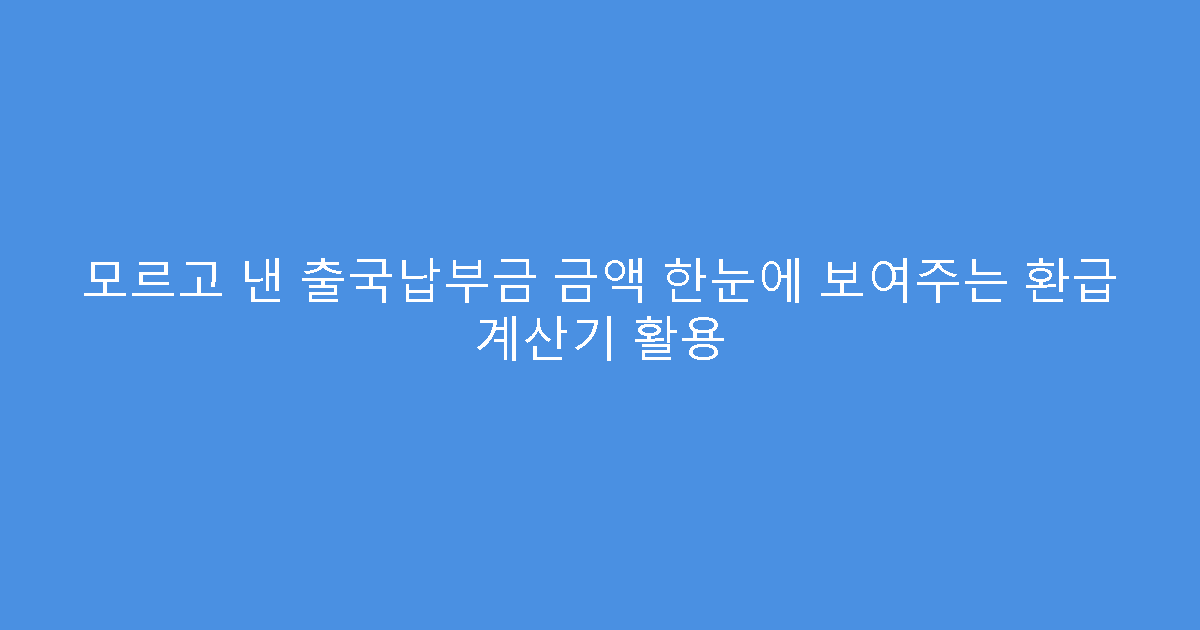 모르고 낸 출국납부금 금액 한눈에 보여주는 환급 계산기 활용