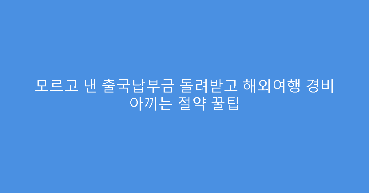 모르고 낸 출국납부금 돌려받고 해외여행 경비 아끼는 절약 꿀팁