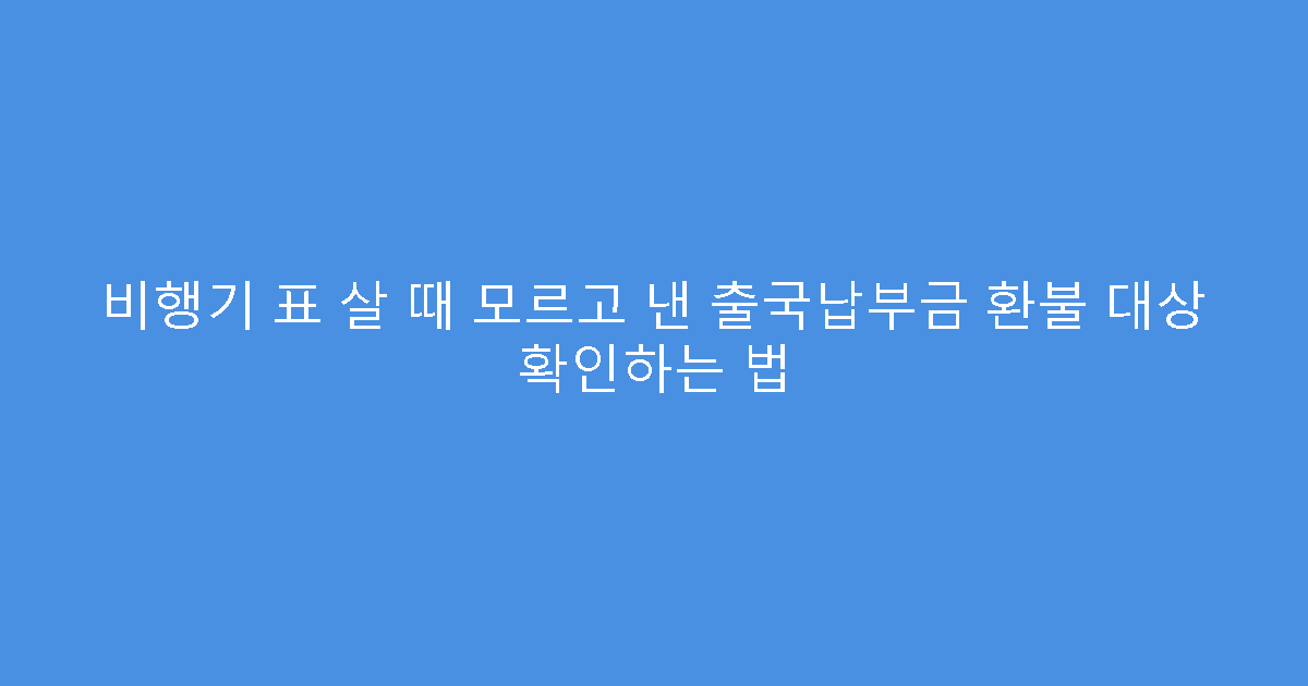 비행기 표 살 때 모르고 낸 출국납부금 환불 대상 확인하는 법