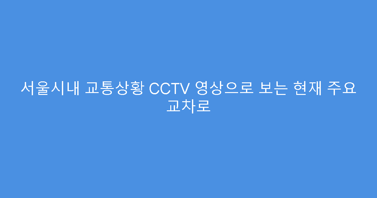 서울시내 교통상황 CCTV 영상으로 보는 현재 주요 교차로