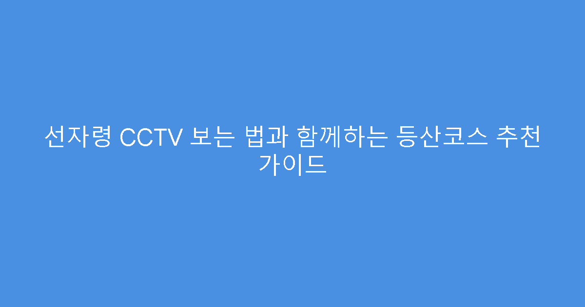 선자령 CCTV 보는 법과 함께하는 등산코스 추천 가이드