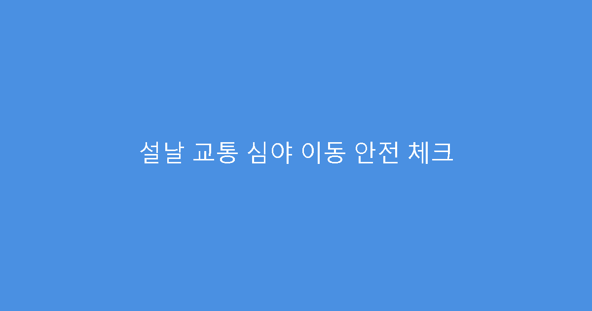 설날 교통 심야 이동 안전 체크