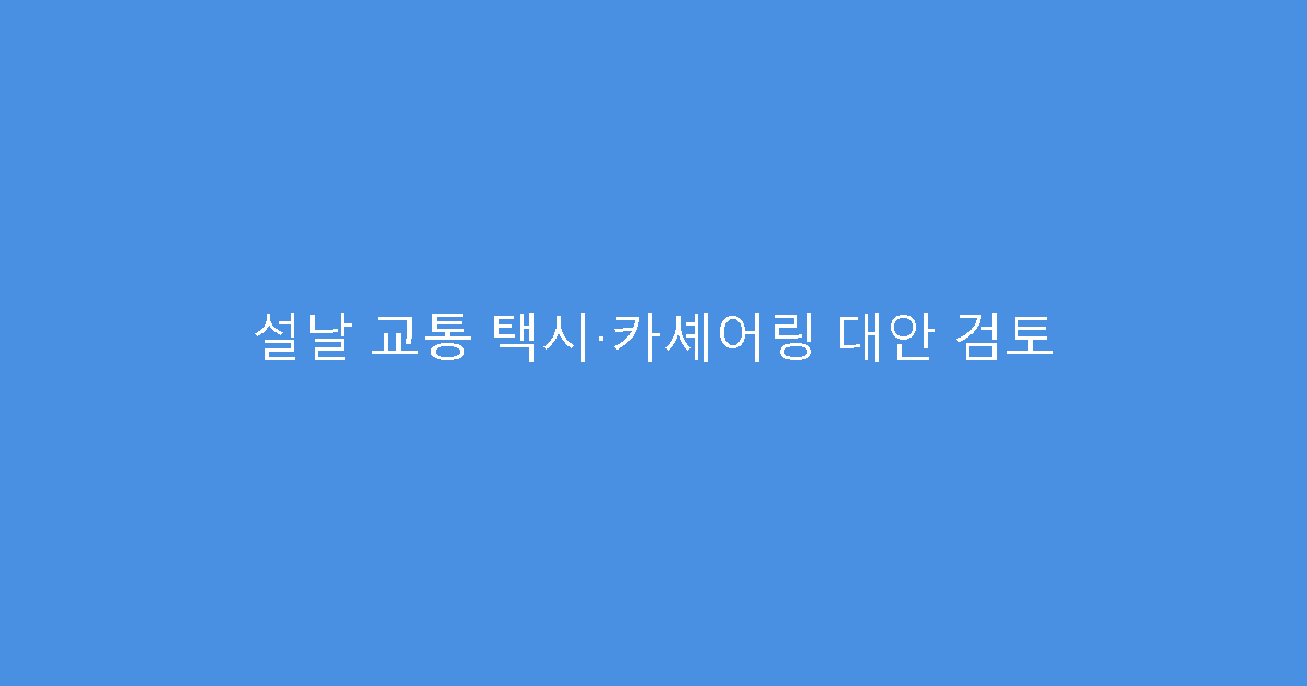 설날 교통 택시·카셰어링 대안 검토
