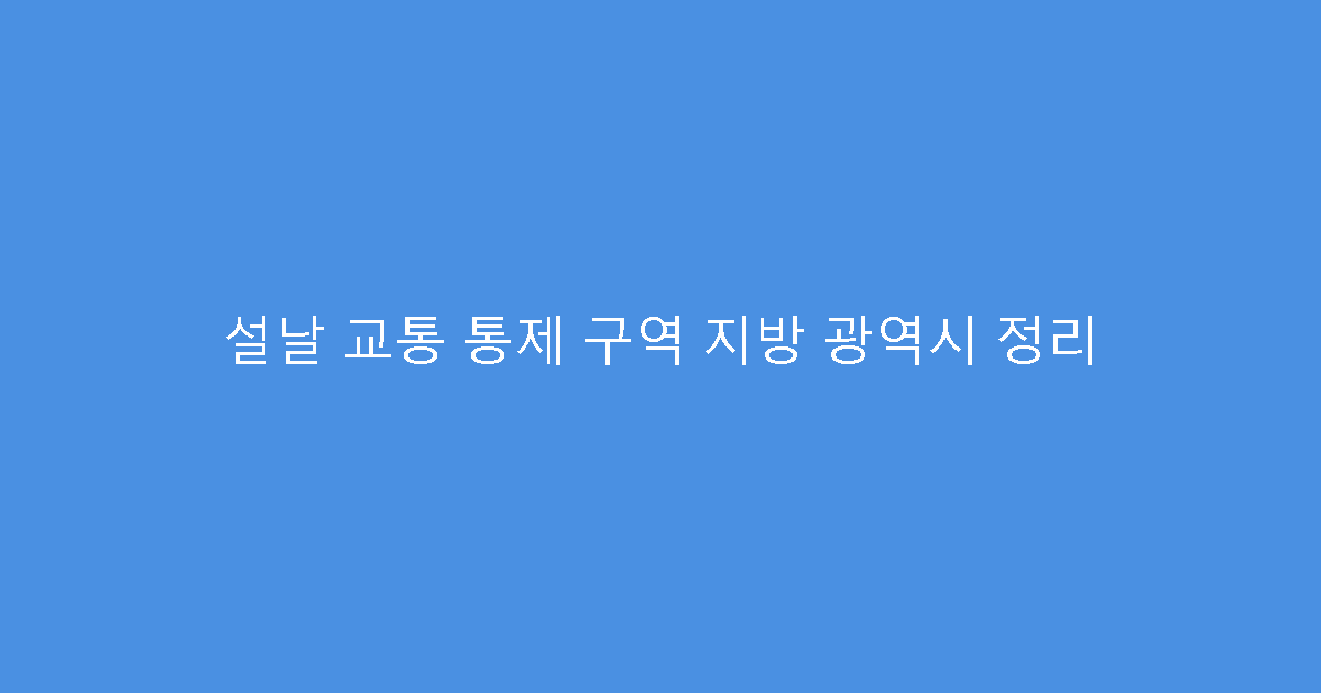 설날 교통 통제 구역 지방 광역시 정리