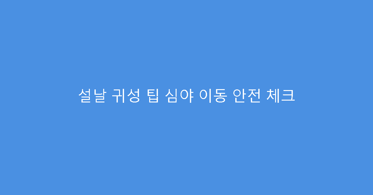 설날 귀성 팁 심야 이동 안전 체크