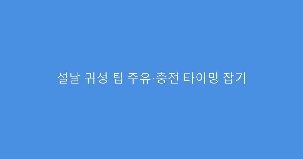 설날 귀성 팁 주유·충전 타이밍 잡기