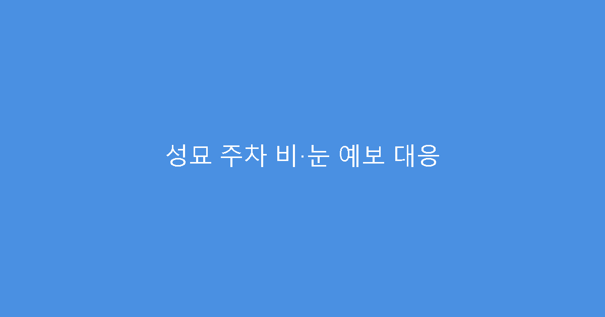 성묘 주차 비·눈 예보 대응