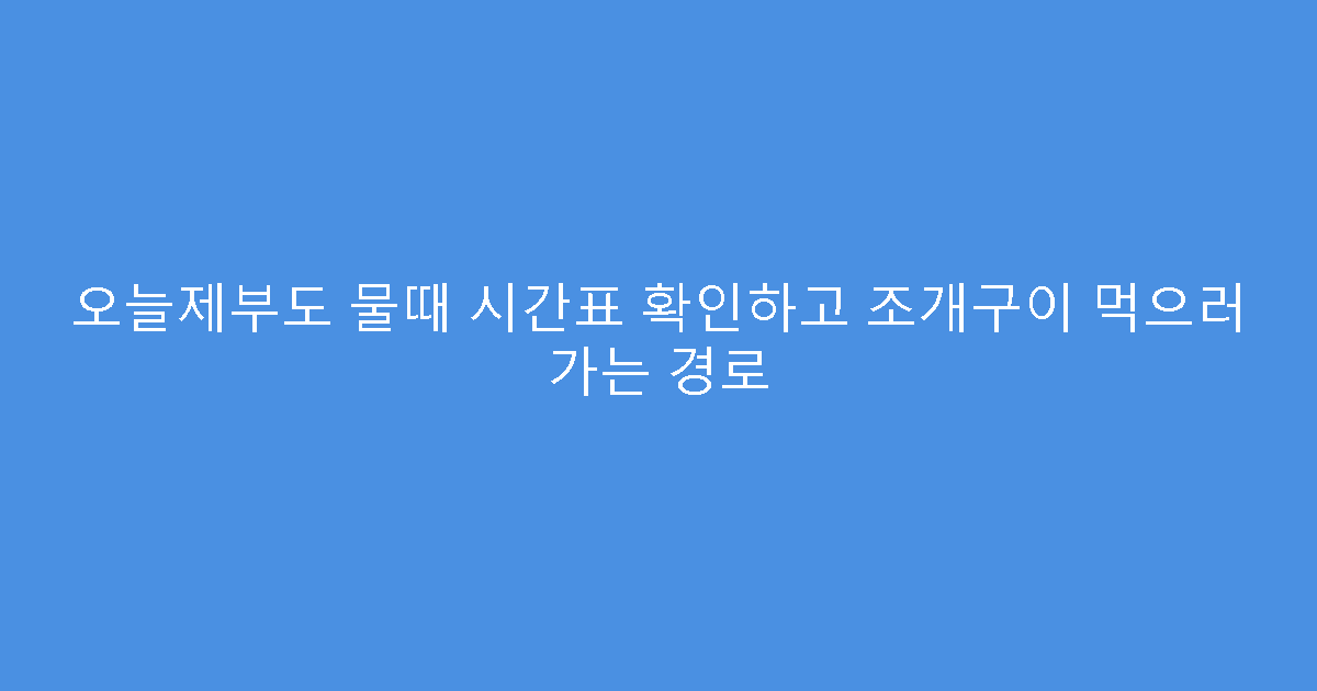 오늘제부도 물때 시간표 확인하고 조개구이 먹으러 가는 경로