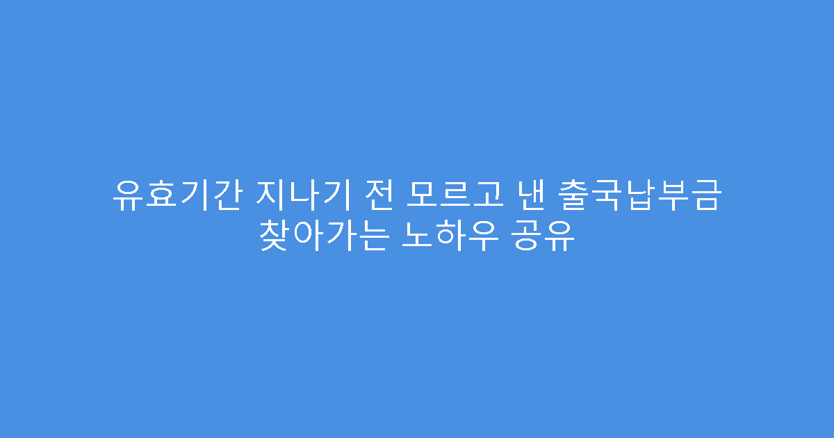 유효기간 지나기 전 모르고 낸 출국납부금 찾아가는 노하우 공유
