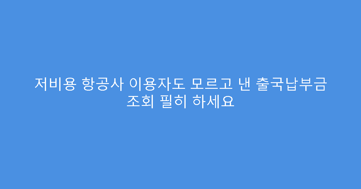 저비용 항공사 이용자도 모르고 낸 출국납부금 조회 필히 하세요