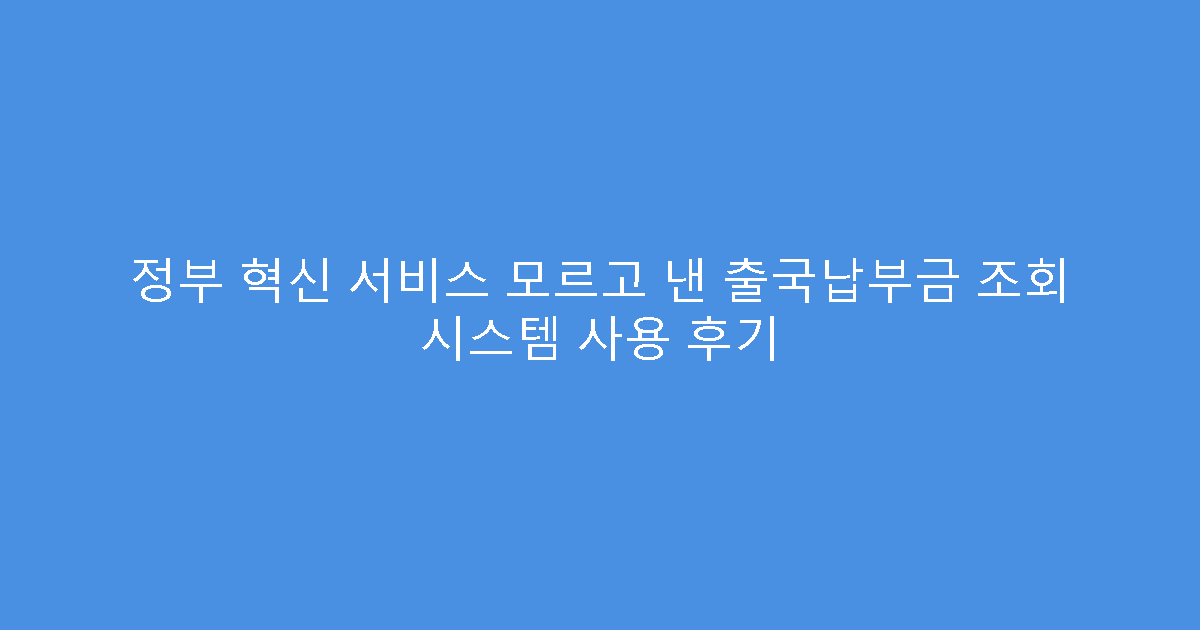 정부 혁신 서비스 모르고 낸 출국납부금 조회 시스템 사용 후기