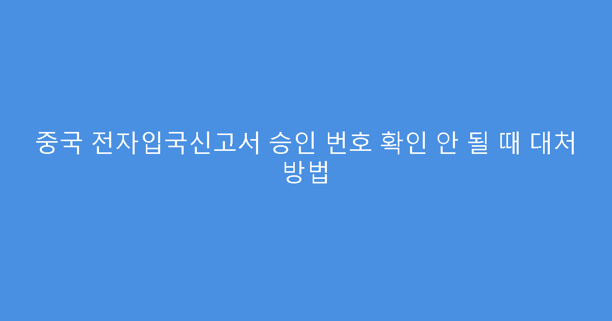 중국 전자입국신고서 승인 번호 확인 안 될 때 대처 방법