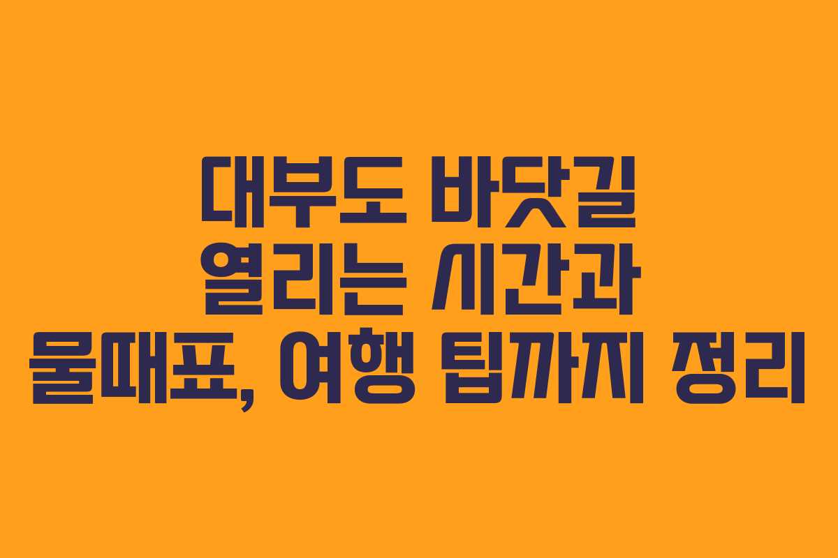 대부도 바닷길 열리는 시간과 물때표, 여행 팁까지 정리