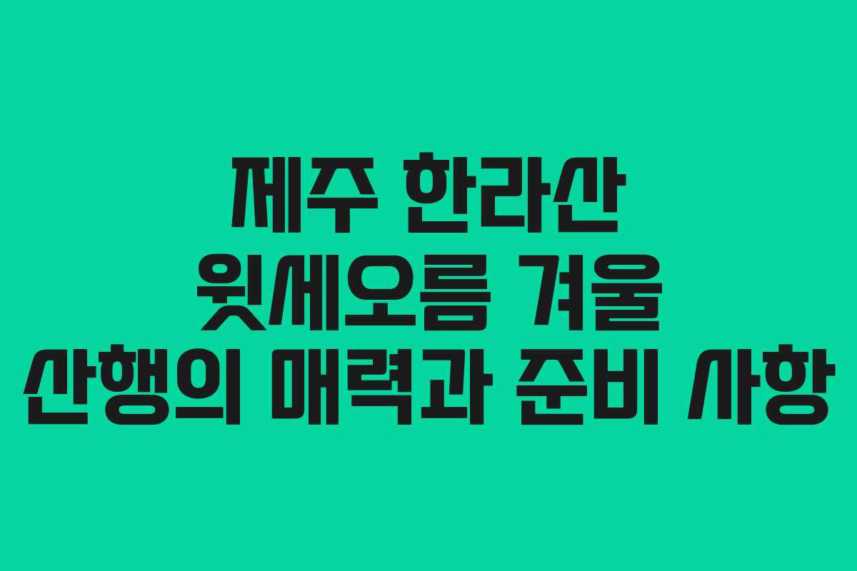 제주 한라산 윗세오름 겨울 산행의 매력과 준비 사항