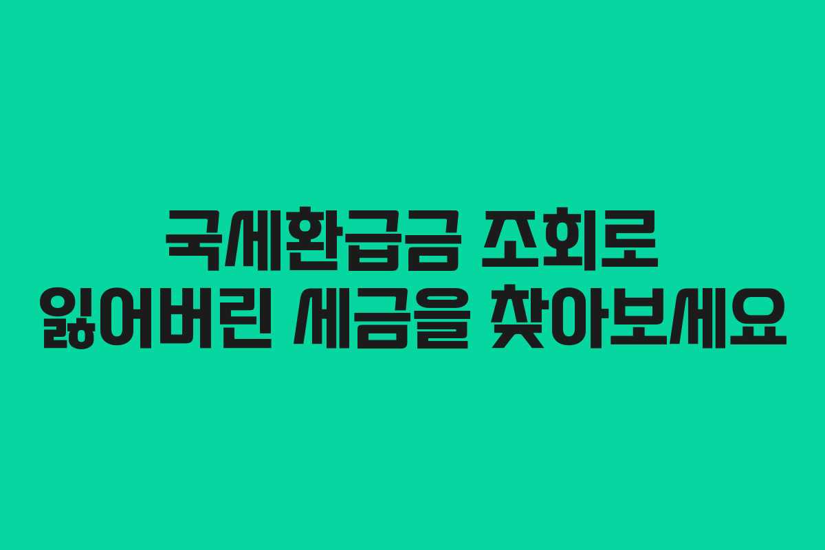국세환급금 조회로 잃어버린 세금을 찾아보세요