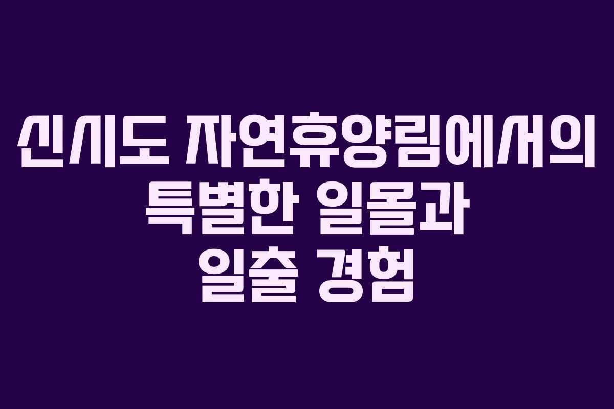 신시도 자연휴양림에서의 특별한 일몰과 일출 경험
