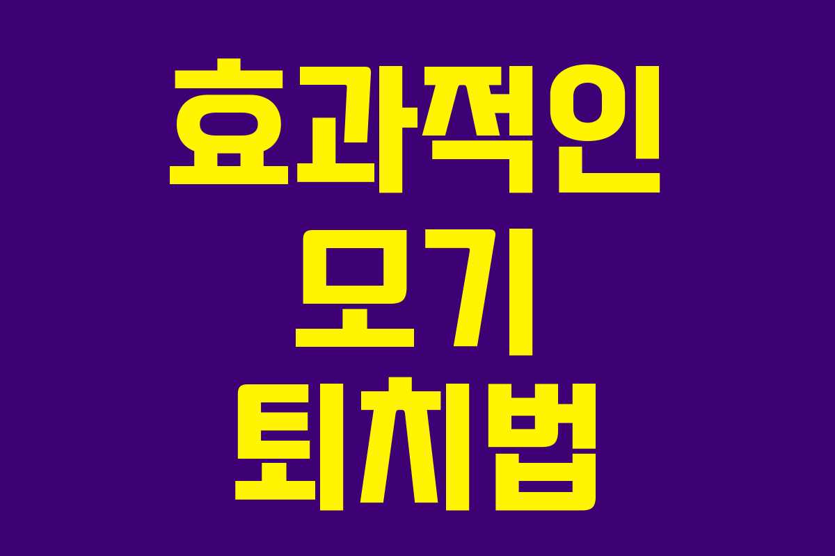 효과적인 모기 퇴치법