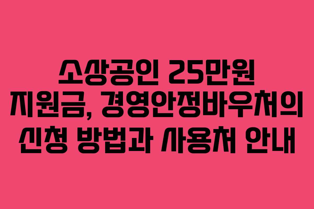 소상공인 25만원 지원금, 경영안정바우처의 신청 방법과 사용처 안내