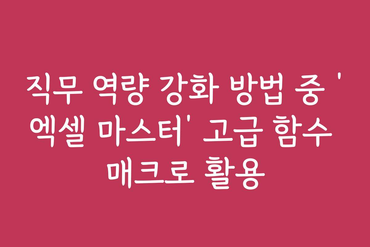 직무 역량 강화 방법 중 ‘엑셀 마스터’ 고급 함수 매크로 활용