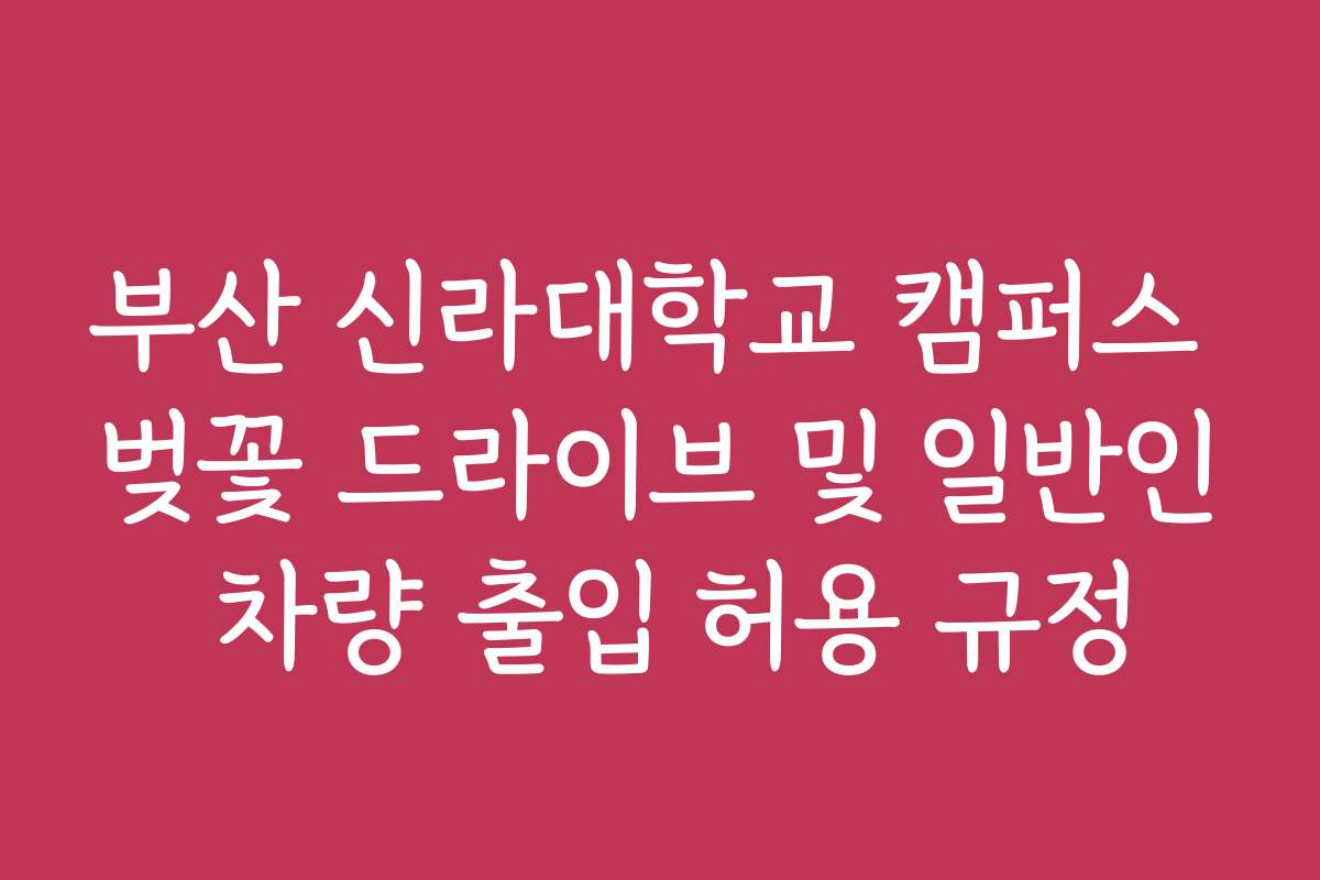 부산 신라대학교 캠퍼스 벚꽃 드라이브 및 일반인 차량 출입 허용 규정