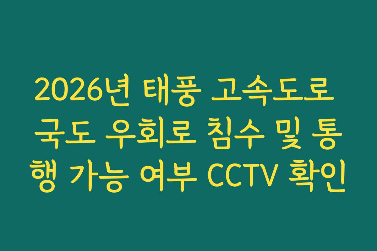 2026년 태풍 고속도로 국도 우회로 침수 및 통행 가능 여부 CCTV 확인