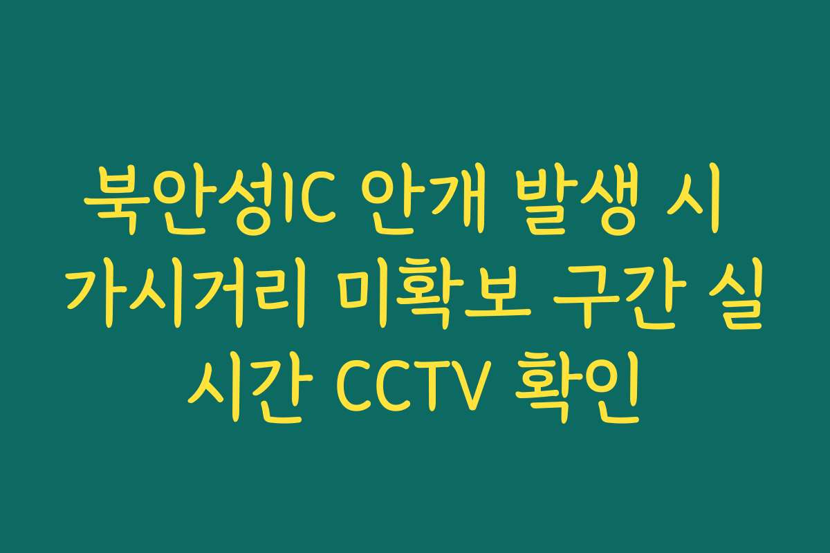 북안성IC 안개 발생 시 가시거리 미확보 구간 실시간 CCTV 확인