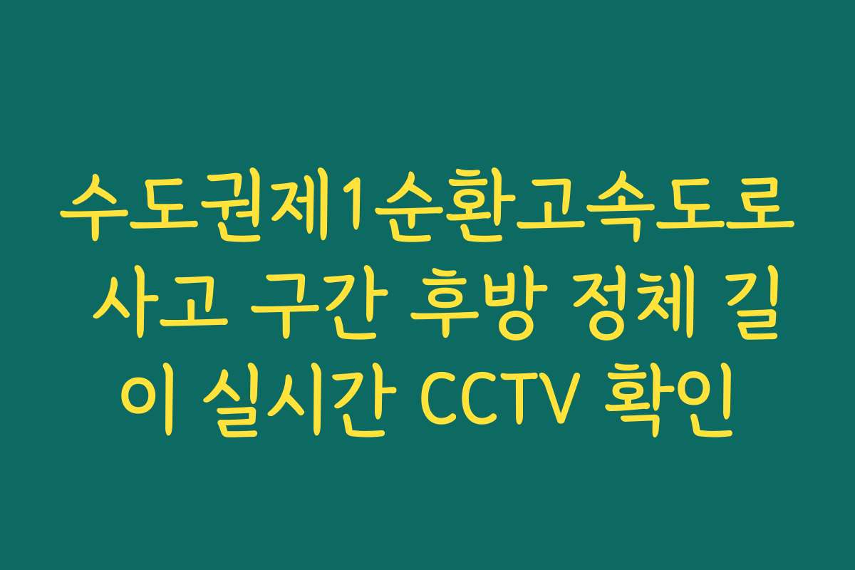 수도권제1순환고속도로 사고 구간 후방 정체 길이 실시간 CCTV 확인