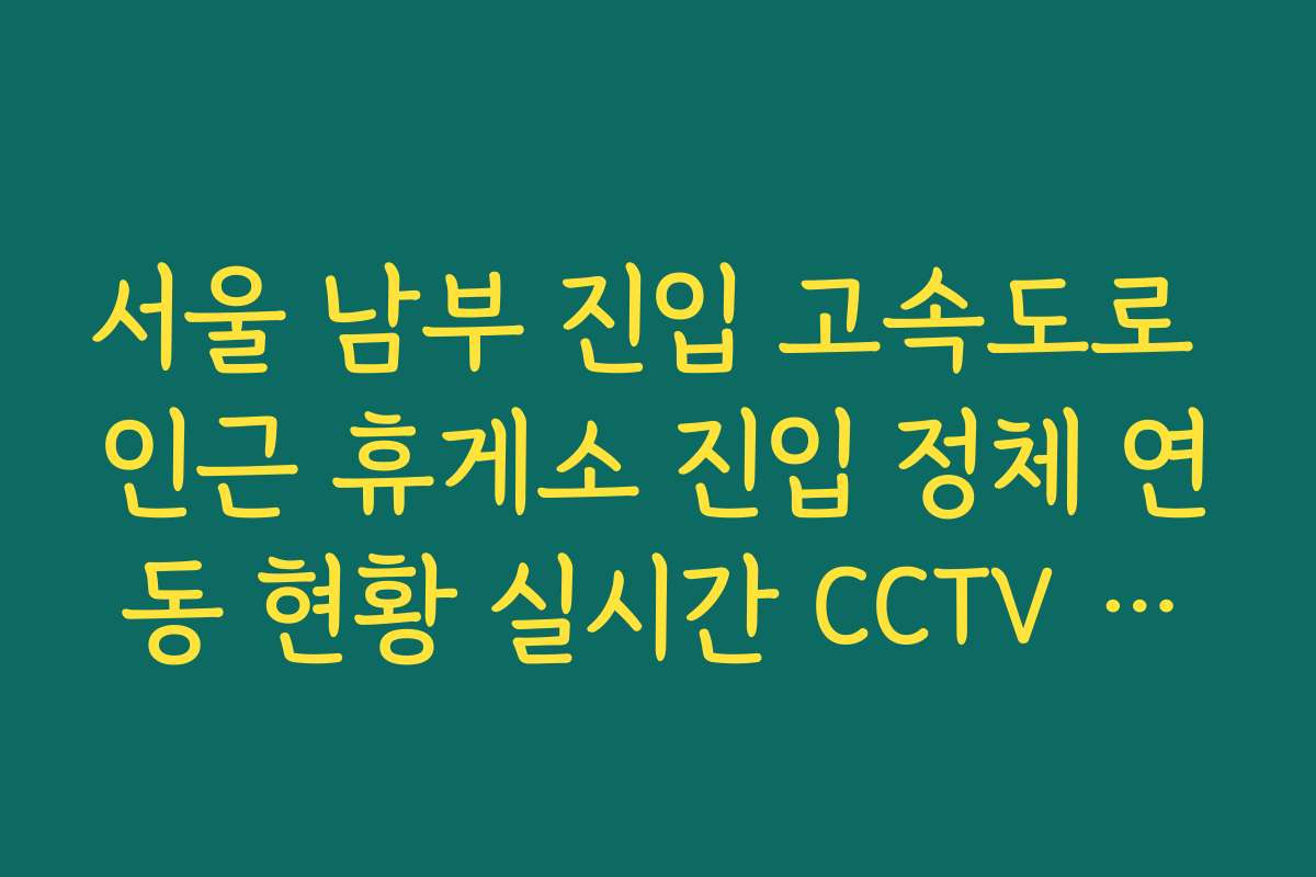 서울 남부 진입 고속도로 인근 휴게소 진입 정체 연동 현황 실시간 CCTV 확인