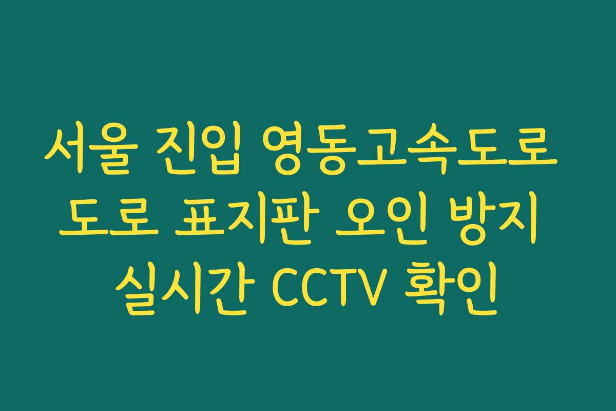 서울 진입 영동고속도로 도로 표지판 오인 방지 실시간 CCTV 확인