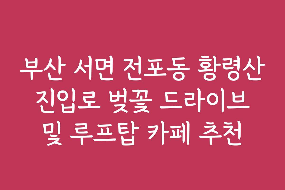 부산 서면 전포동 황령산 진입로 벚꽃 드라이브 및 루프탑 카페 추천