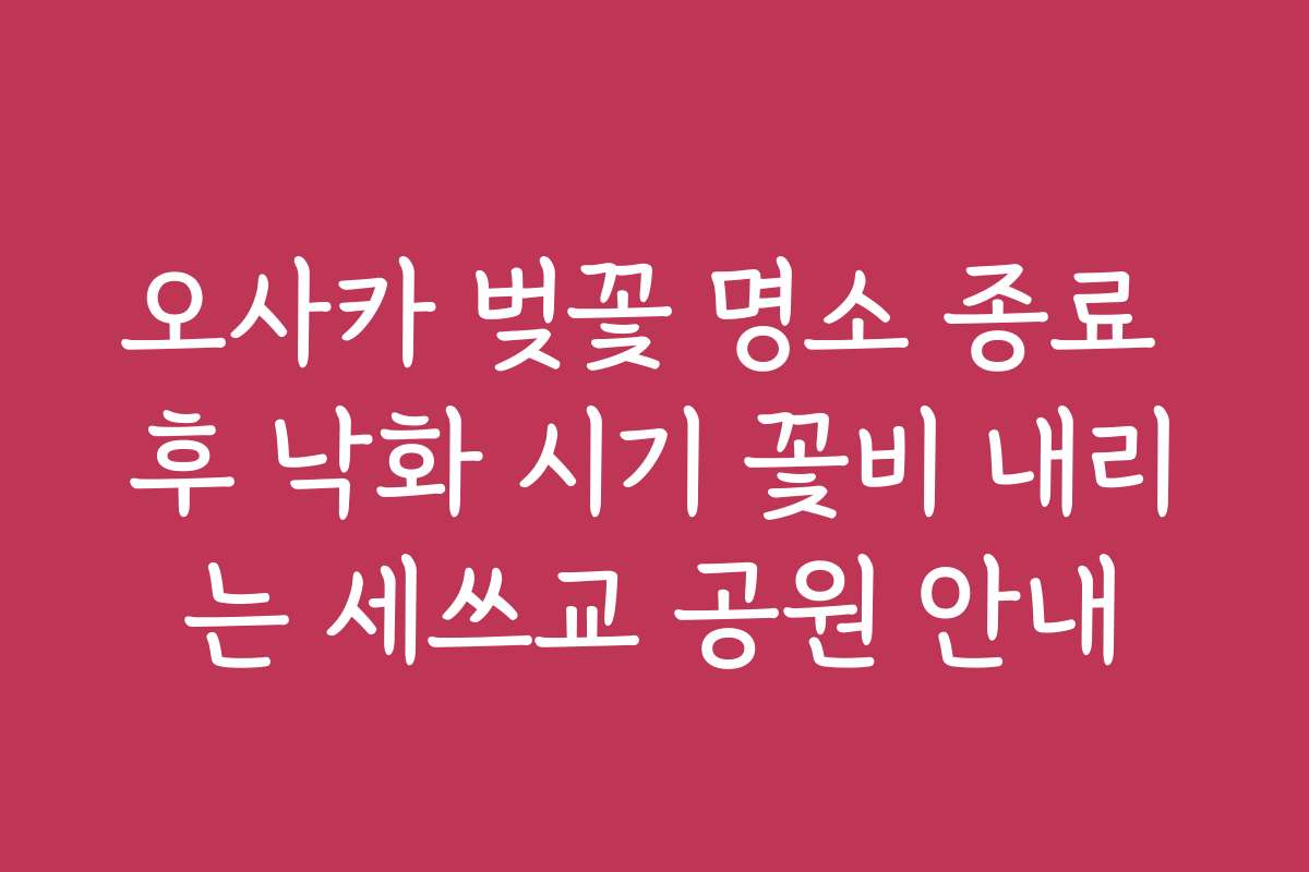오사카 벚꽃 명소 종료 후 낙화 시기 꽃비 내리는 세쓰교 공원 안내