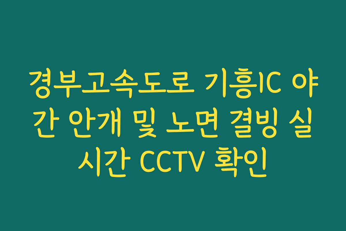 경부고속도로 기흥IC 야간 안개 및 노면 결빙 실시간 CCTV 확인