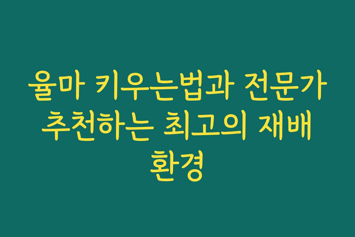 율마 키우는법과 전문가 추천하는 최고의 재배 환경