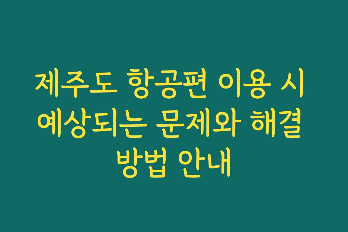 제주도 항공편 이용 시 예상되는 문제와 해결 방법 안내