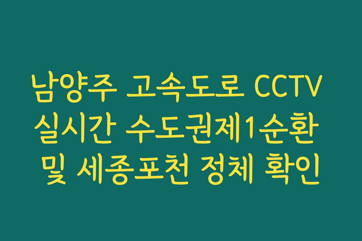 남양주 고속도로 CCTV 실시간 수도권제1순환 및 세종포천 정체 확인