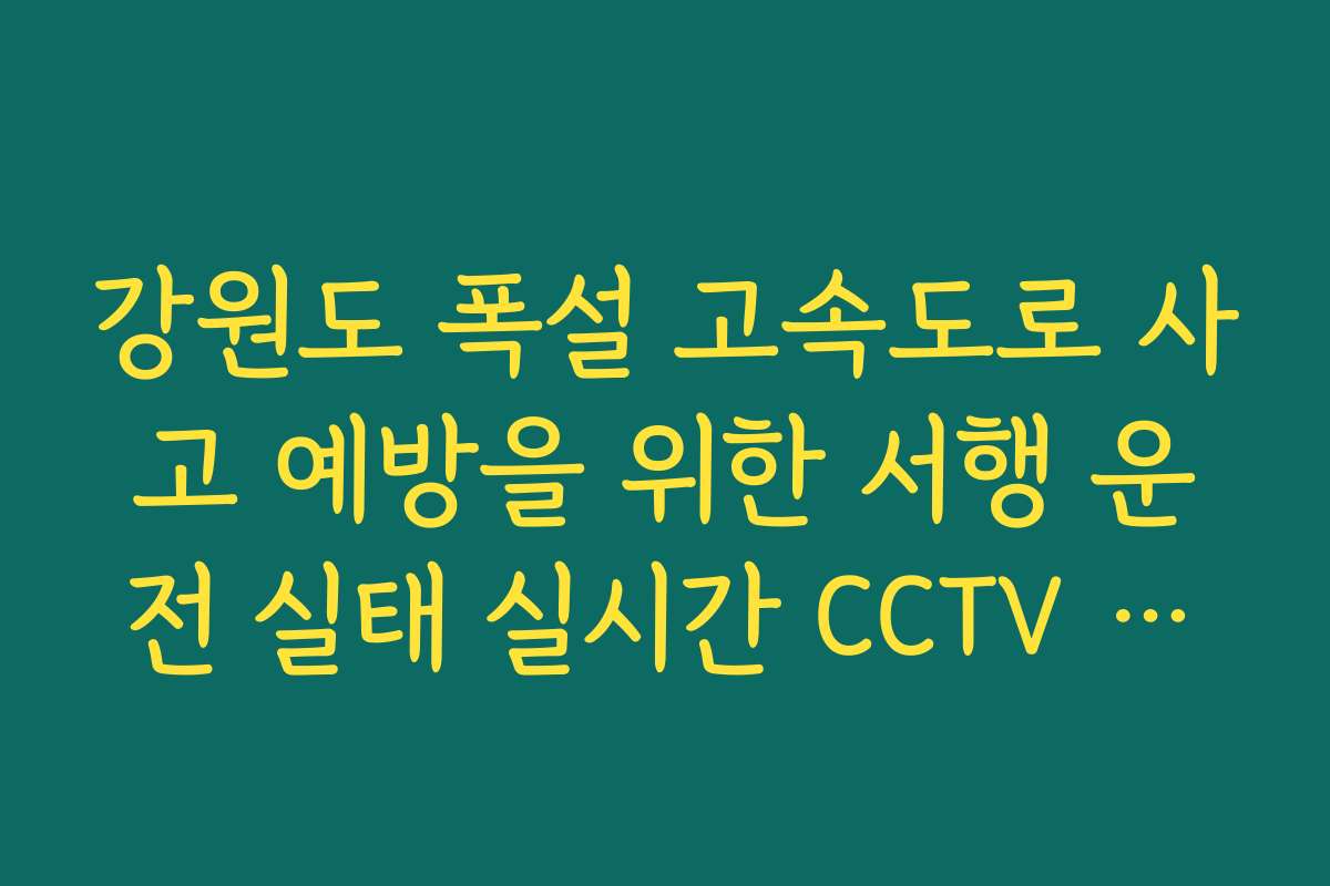 강원도 폭설 고속도로 사고 예방을 위한 서행 운전 실태 실시간 CCTV 확인