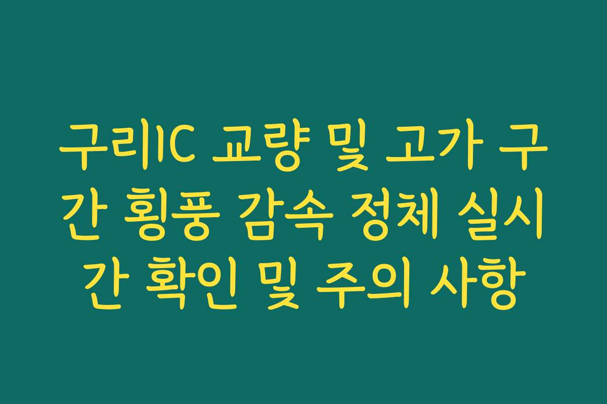 구리IC 교량 및 고가 구간 횡풍 감속 정체 실시간 확인 및 주의 사항
