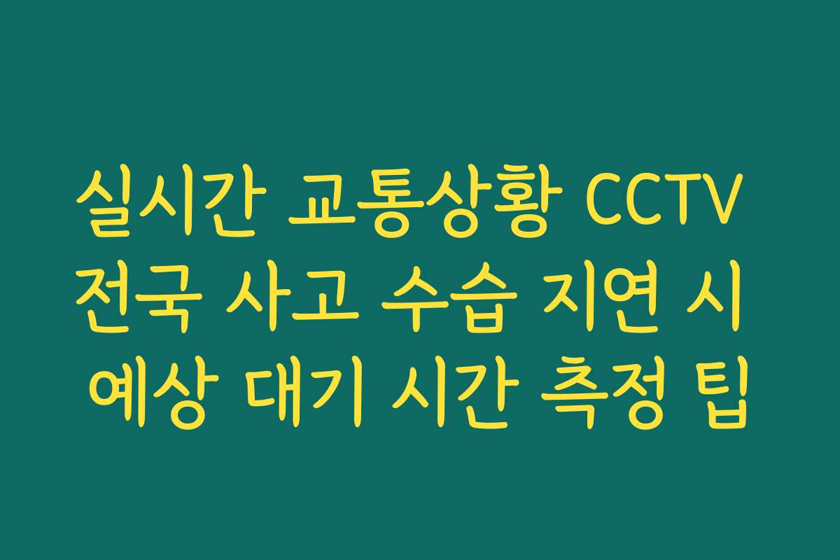 실시간 교통상황 CCTV 전국 사고 수습 지연 시 예상 대기 시간 측정 팁