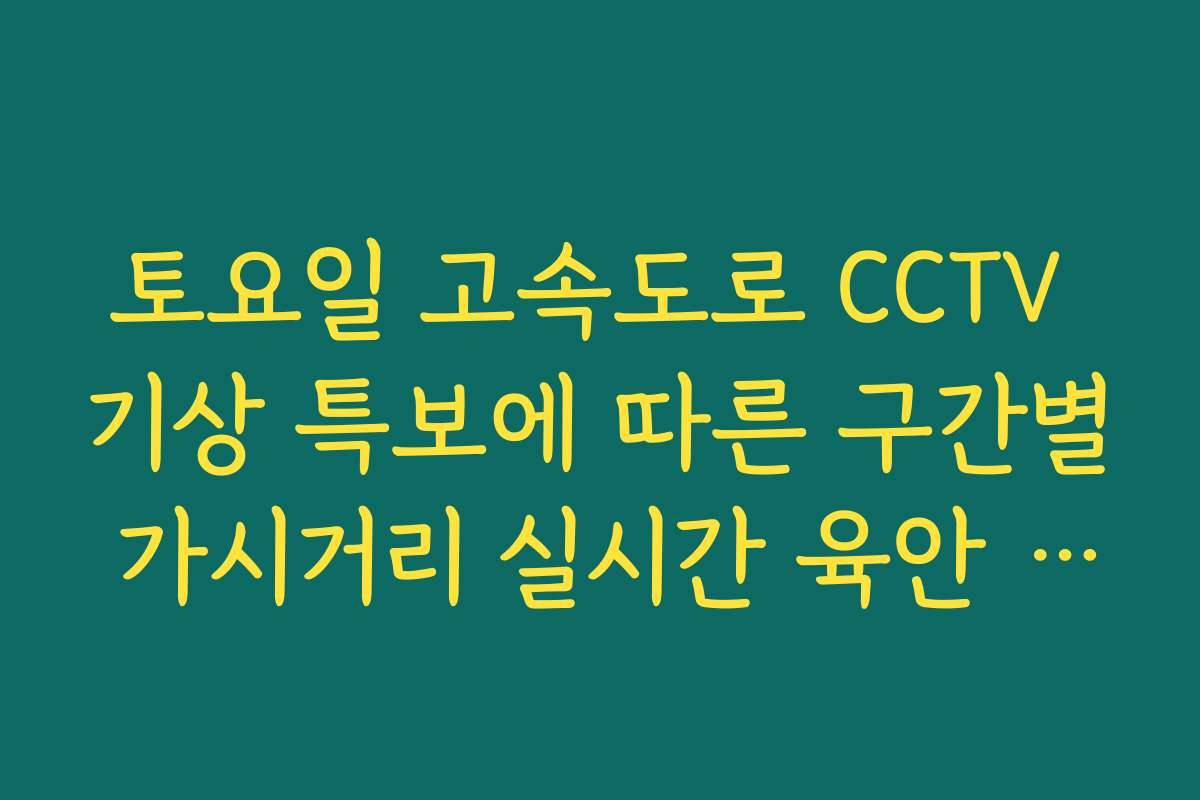 토요일 고속도로 CCTV 기상 특보에 따른 구간별 가시거리 실시간 육안 모니터링